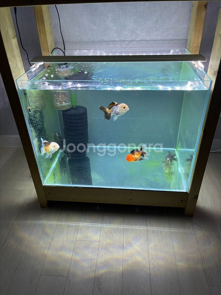 (경기 북부) 프리미엄 켈란 2광폭 디아망 수조 6T--2