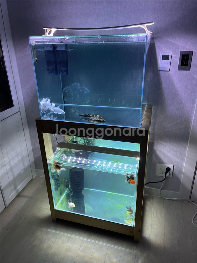 (경기 북부) 프리미엄 켈란 2광폭 디아망 수조 6T--0