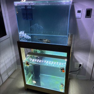 (경기 북부) 프리미엄 켈란 2광폭 디아망 수조 6T