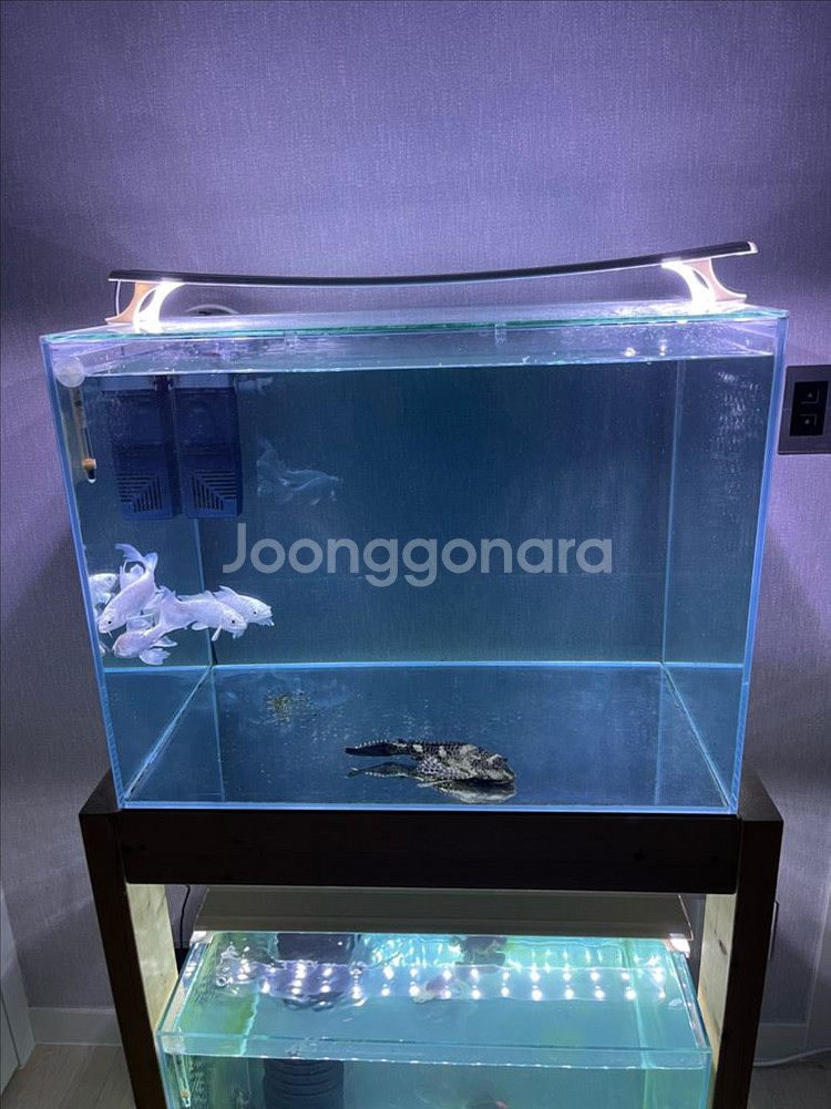 (경기 북부) 프리미엄 켈란 2광폭 디아망 수조 6T--3