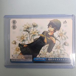 페르소나 시로가네 나오토