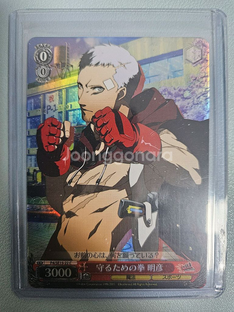 페르소나 사나다 아키히코--0