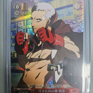 페르소나 사나다 아키히코