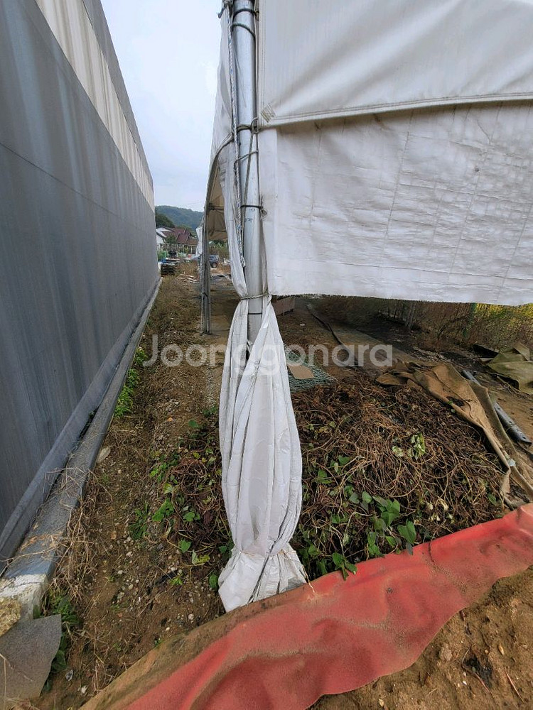 중고 몽골텐트 5x5m--3