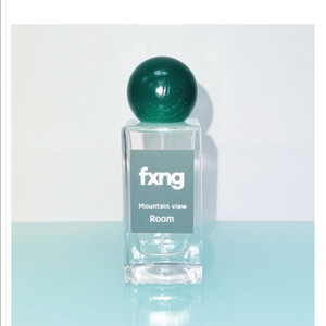 새상품 fxng 퐁 룸스프레이 방향제