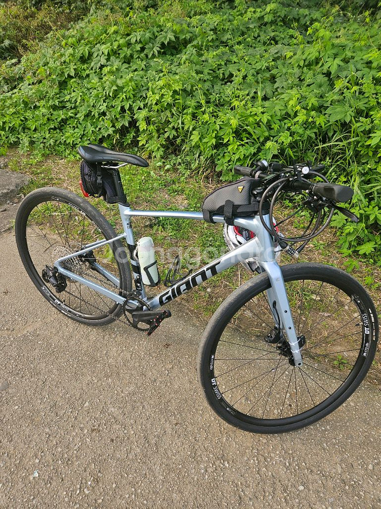 2025 자이언트패스트로드 ar2 M사이즈판매--6