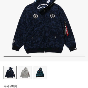 (구매글)베이프 알파인더스트리 후드집업