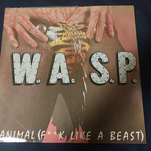 수입 헤비메탈 12인치 싱글 엘피 LP