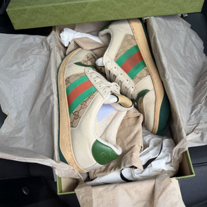 구찌 스크리너 255