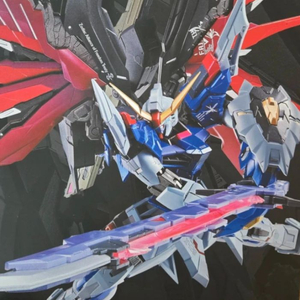 메탈빌드 데스티니 건담 풀패키지