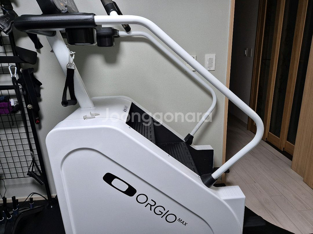 오르지오 맥스프로팝니다--0