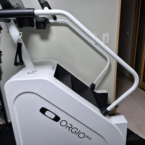 오르지오 맥스프로팝니다