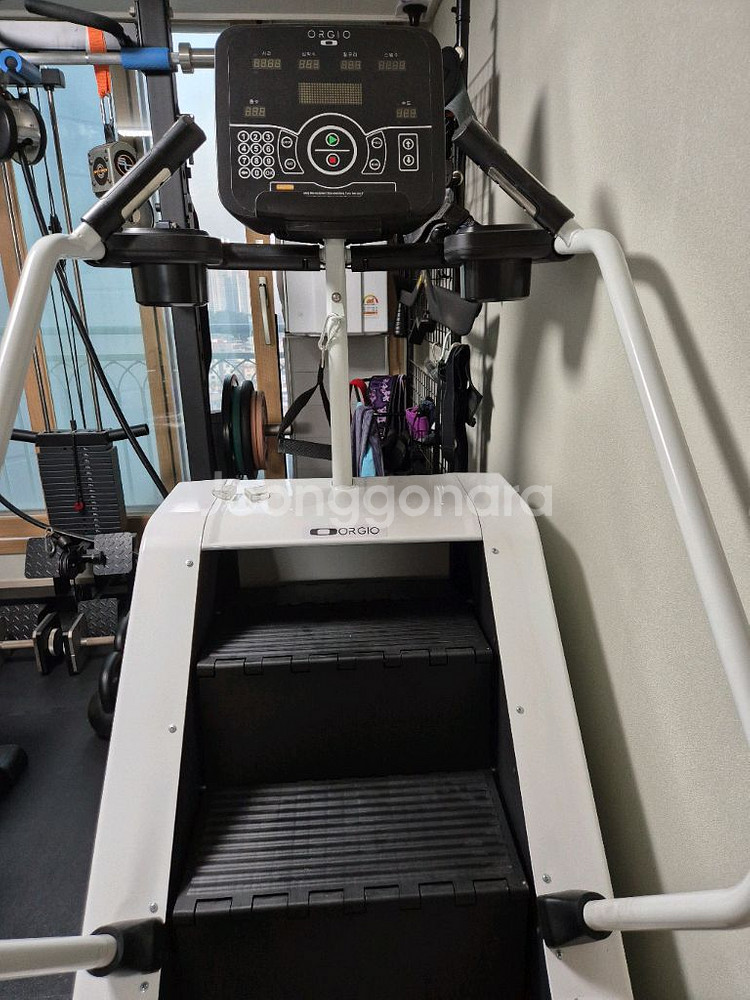 오르지오 맥스프로팝니다--1