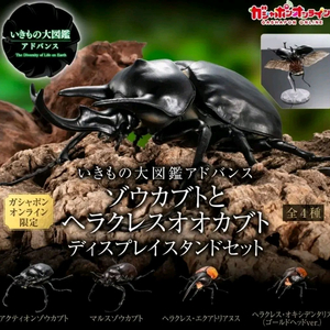 생물대도감 어드밴스 악테온 4종(캡슐판)