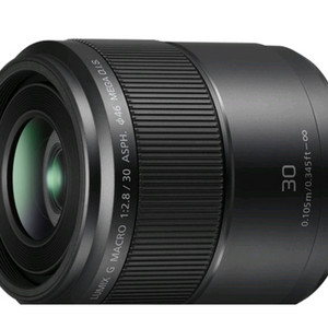 파나소닉 LUMIX G MACRO 30mm F2.8 A