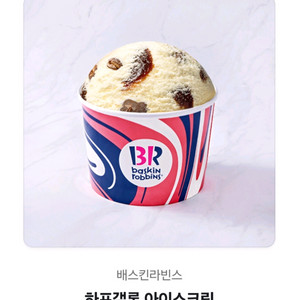 배스킨라빈스 하프갤론 배라 하프갤런 베라 베스킨 최저가