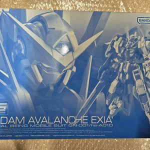 Rg 아발란체 엑시아 대시 미개봉