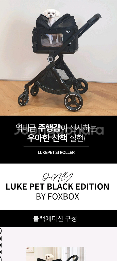 폭스박스 루크펫 고급 개모차--6