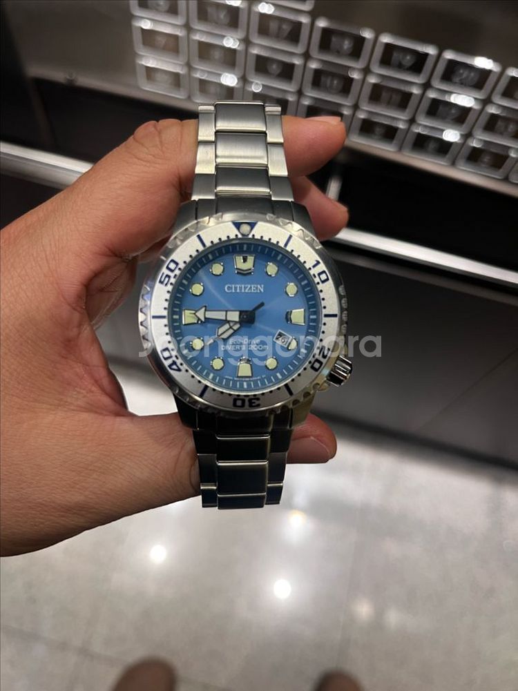 시티즌 전자복어--0