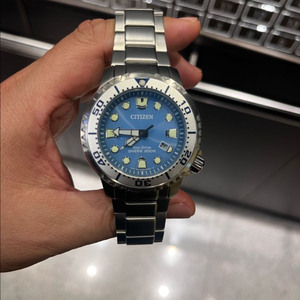 시티즌 전자복어