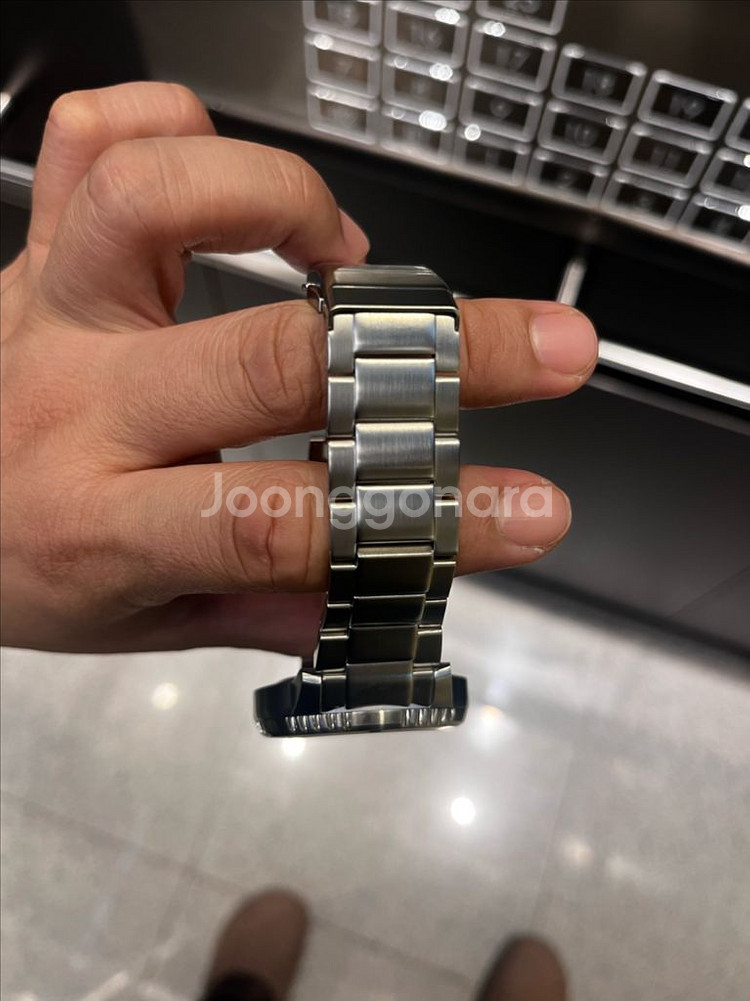 시티즌 전자복어--2