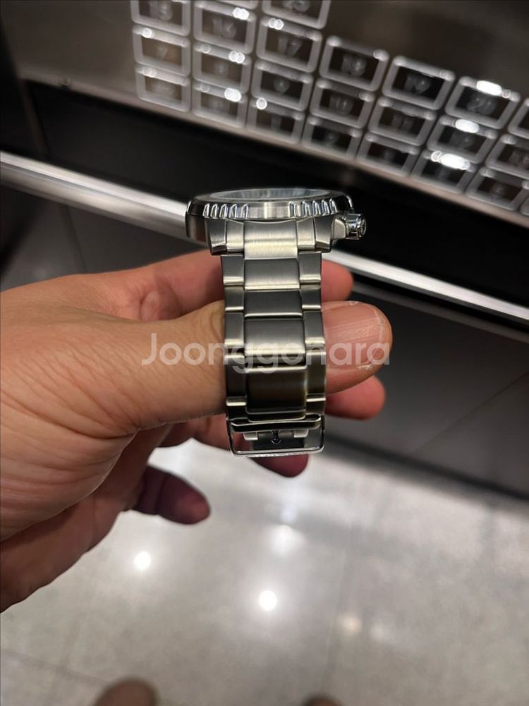 시티즌 전자복어--1