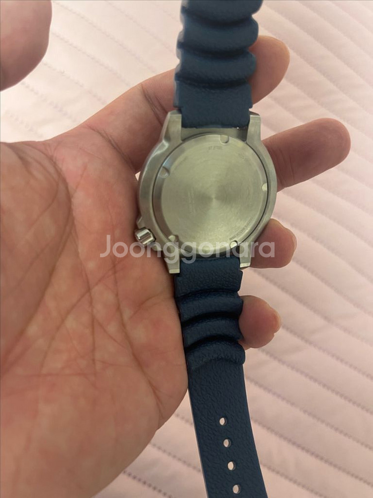 시티즌 전자복어--6