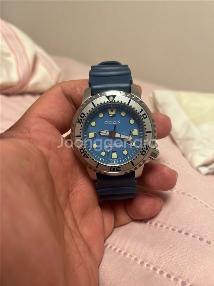 시티즌 전자복어--5