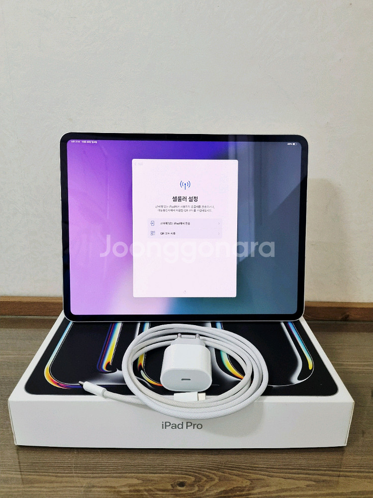아이패드 프로 13 셀룰러 256G 실버 폴리오케이스--2