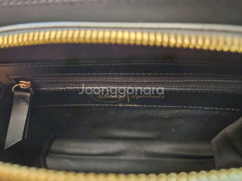 하이칙스x디즈니 앨리스백--6