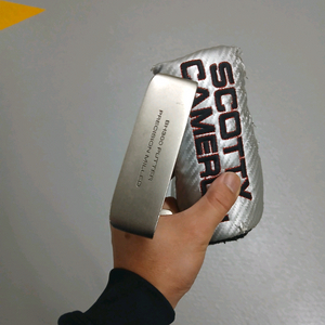 (재인하)명품 레이쿡 퍼터