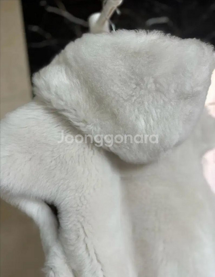 사바티에 램스 무스탕 베스트--8