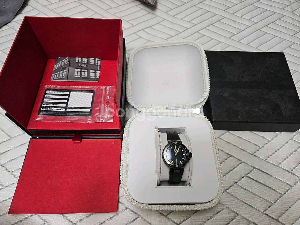 오리스 애커스 36mm 형광 정품--1