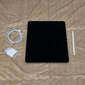 아이패드 프로 12.9 3세대 256기가 셀룰러 펜슬O