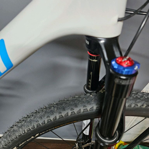 스페셜라이즈 에픽 콤프 XC 풀샥