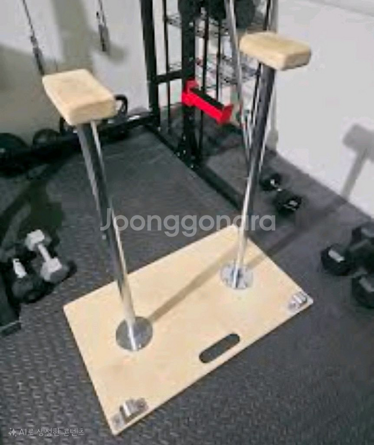 베이스블락스(Baseblocks) 딥스바 운동기구--2