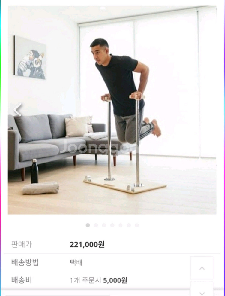 베이스블락스(Baseblocks) 딥스바 운동기구--0