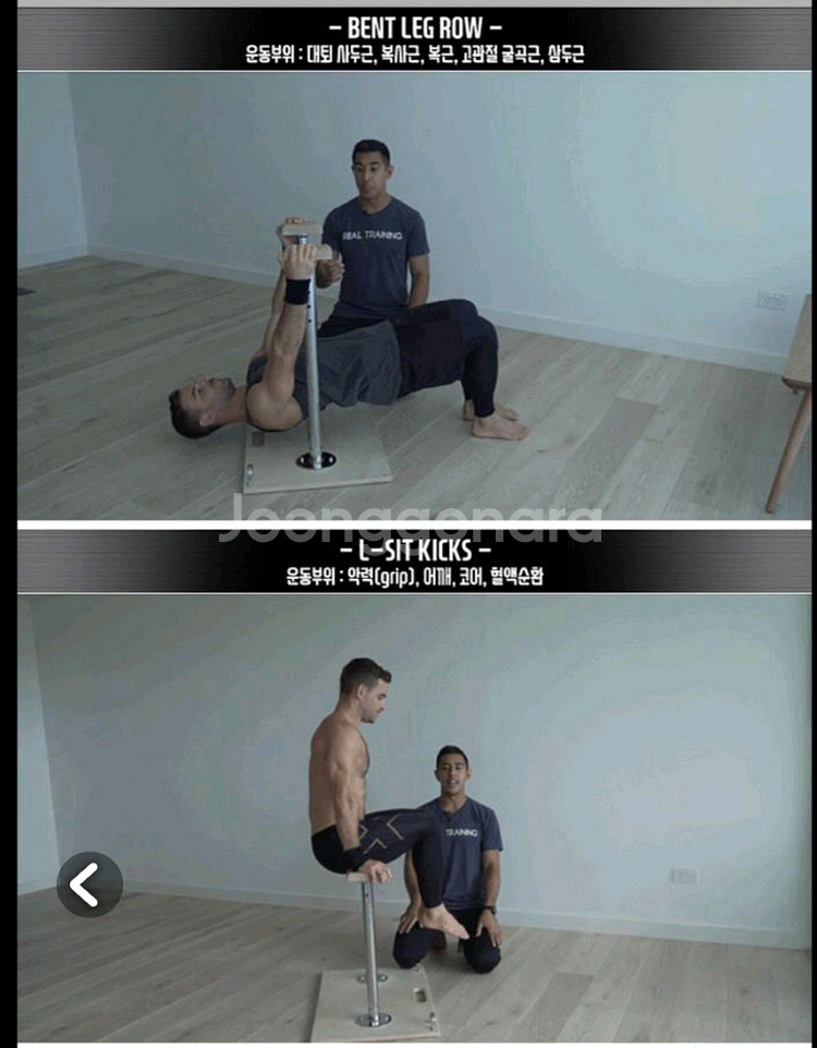 베이스블락스(Baseblocks) 딥스바 운동기구--7