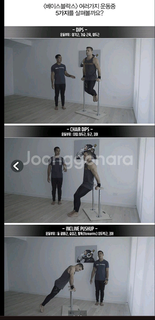 베이스블락스(Baseblocks) 딥스바 운동기구--8