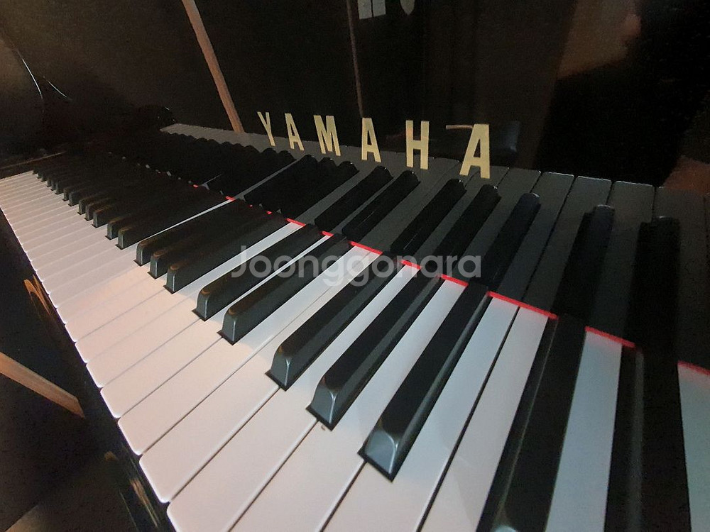 야마하 g3 그랜드. 400만번대--1