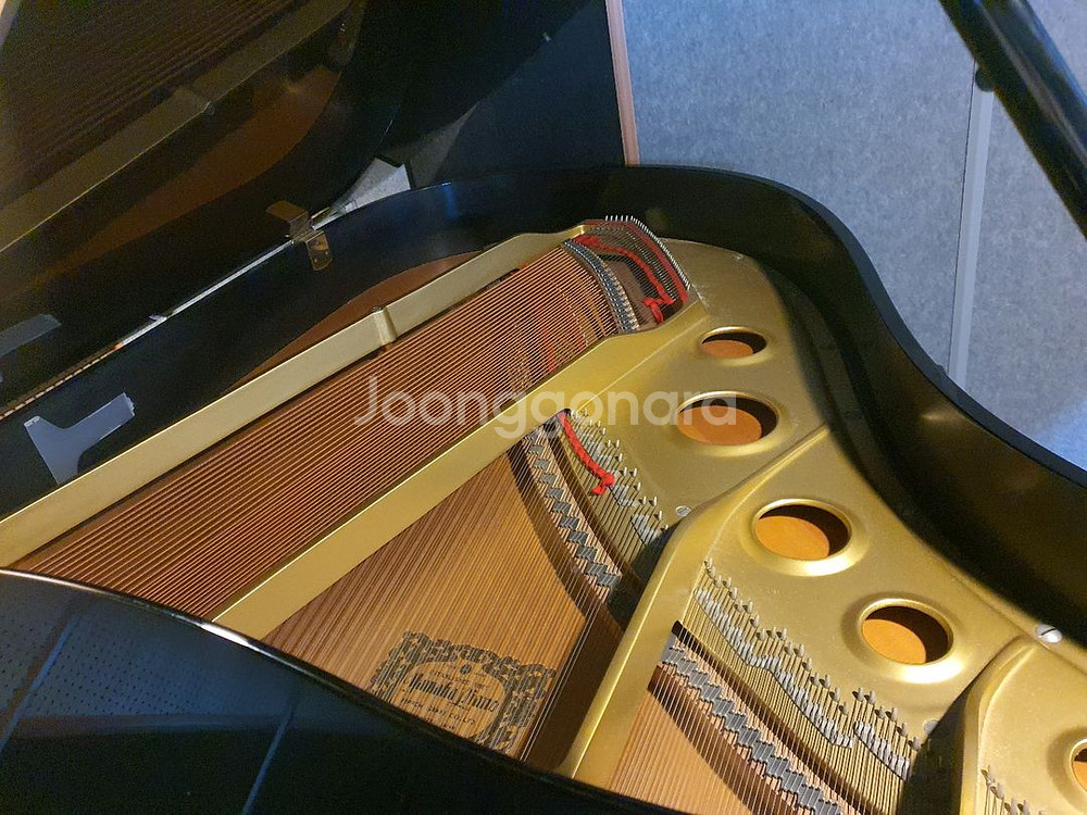 야마하 g3 그랜드. 400만번대--4