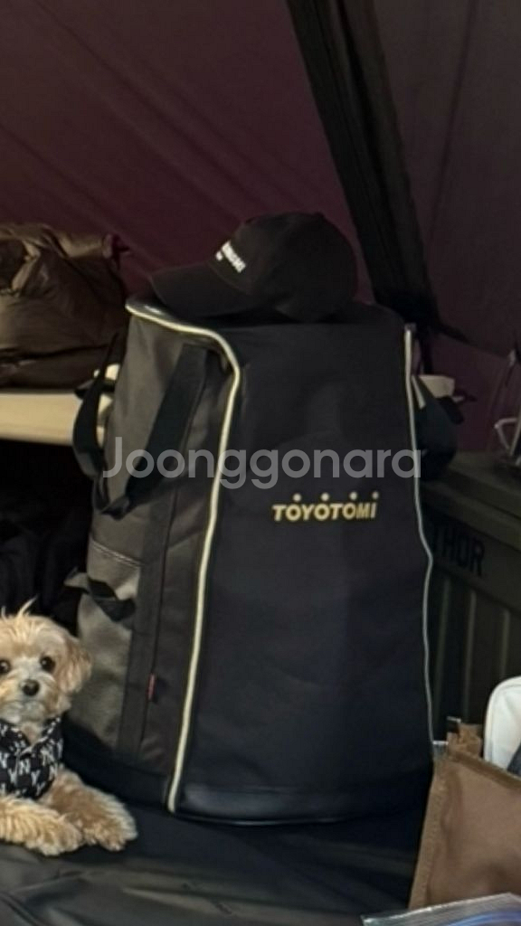 도요토미기어미션 풀셋 정식수입국내as가능+케이스+정품심--1