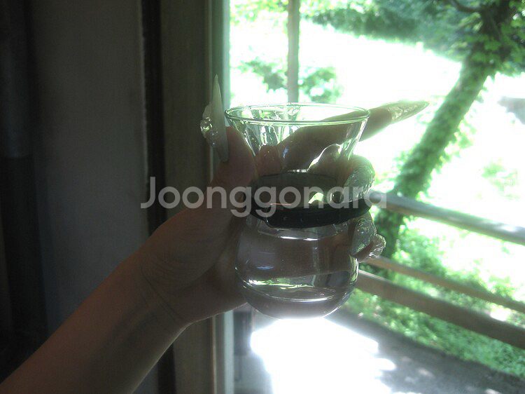 Frustrated Oyster Belted water--1