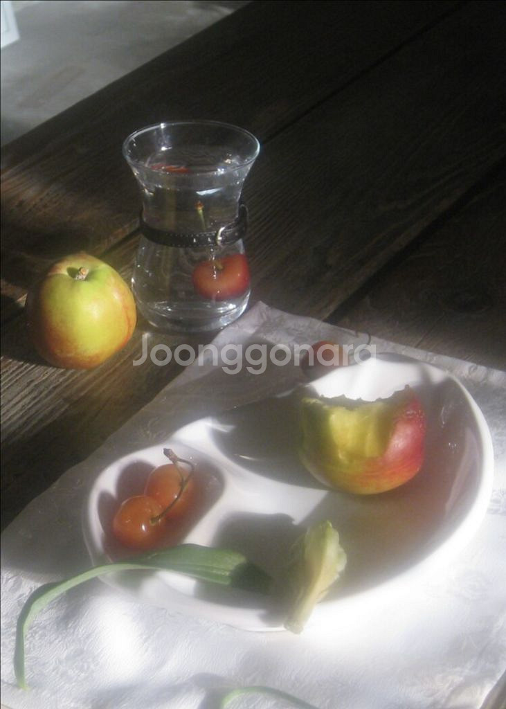 Frustrated Oyster Belted water--0