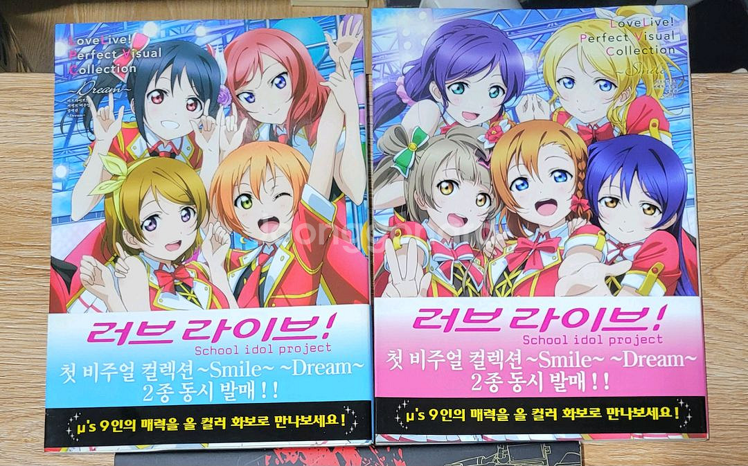 러브라이브 퍼펙트비주얼컬렉션 드림/스마일--0
