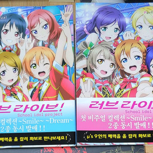 러브라이브 퍼펙트비주얼컬렉션 드림/스마일