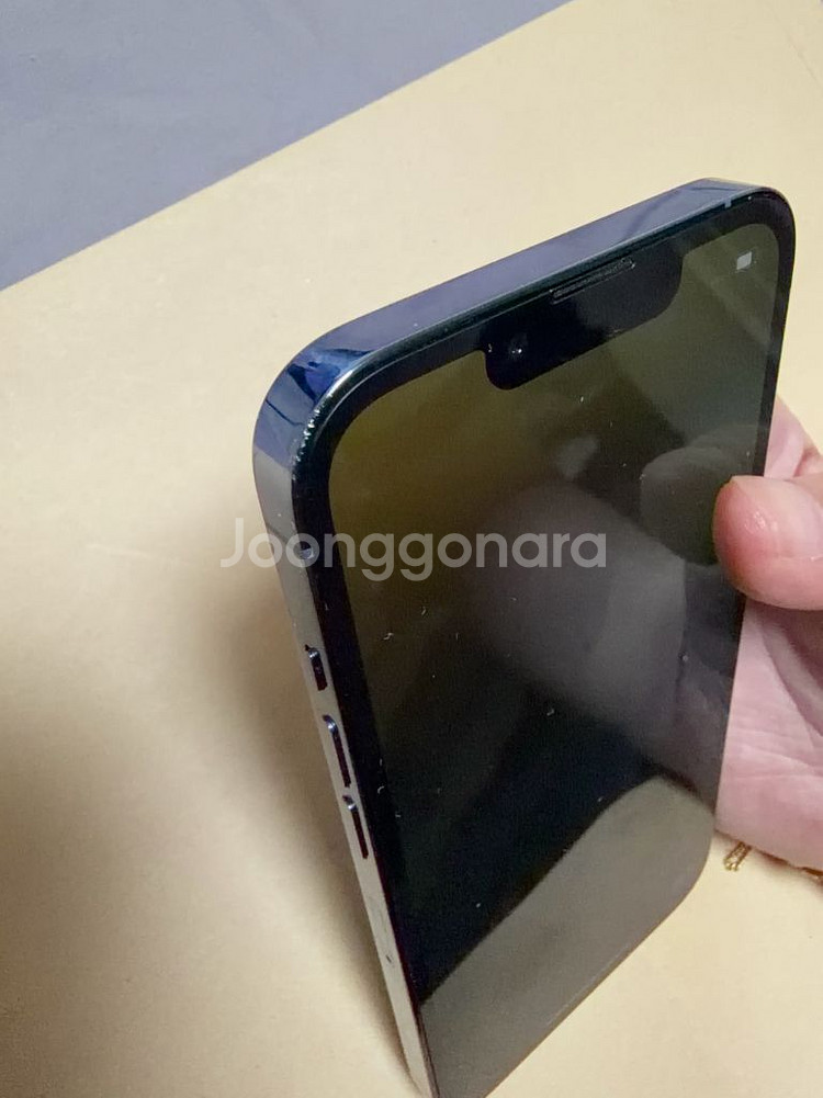 iPhone 13 Pro 256 시에라블루--3