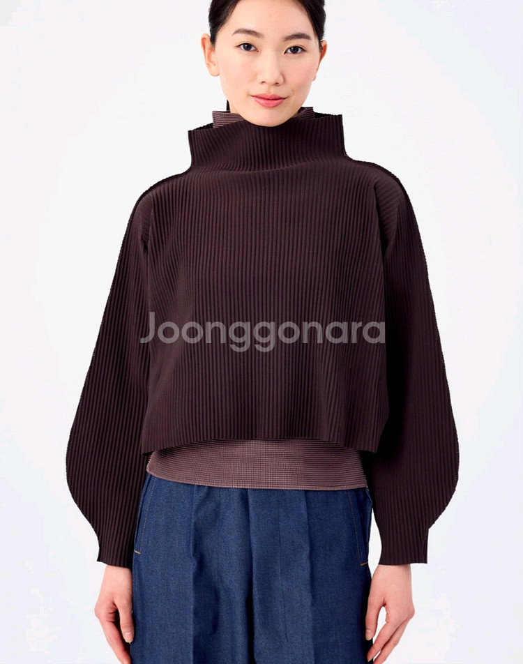 이세이미야케 미--3