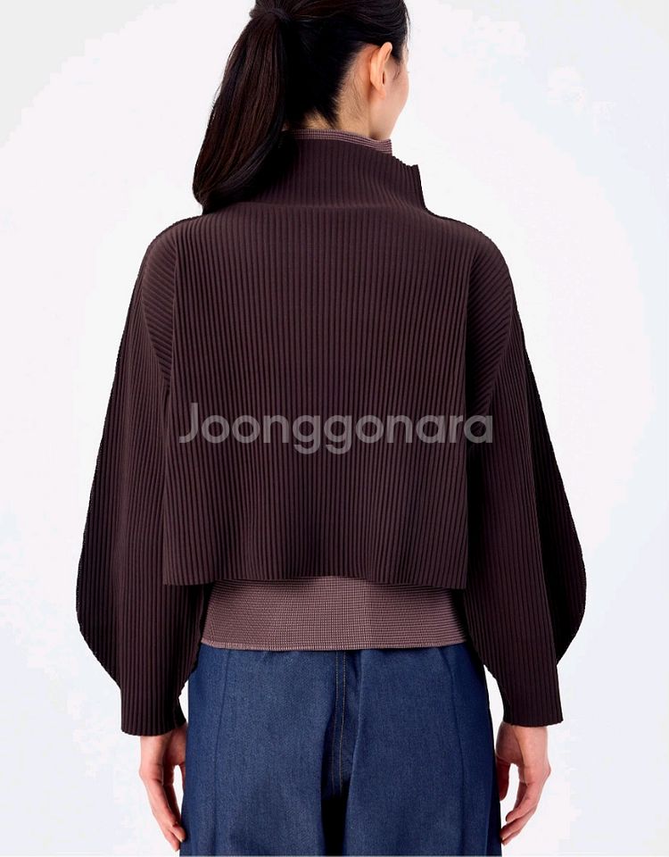 이세이미야케 미--4