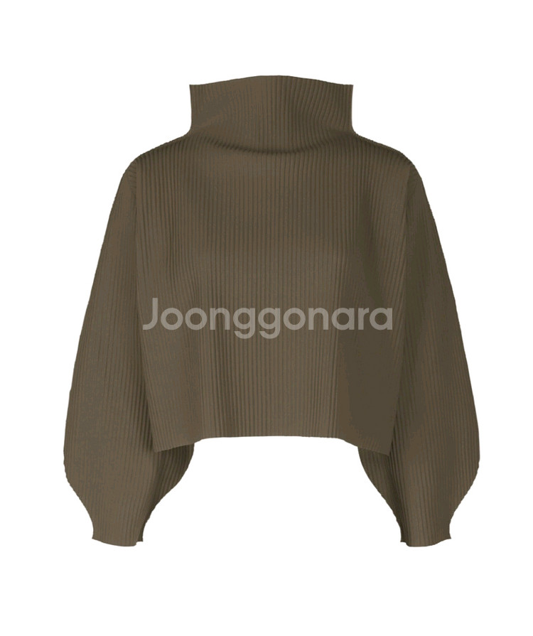 이세이미야케 미--2